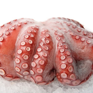 Pulpo